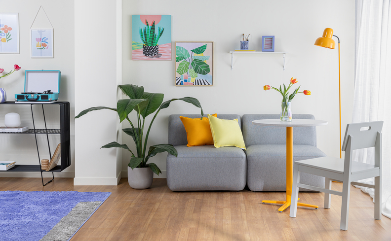 sala pequenas decoradas com quadros, luminária de chão, plantas e almofadas