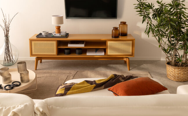 decoração para sala de estar pequena com rack, sofá, manta para sofá, almofadas e vaso com plantas