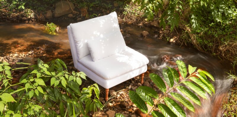 Dia do meio ambiente