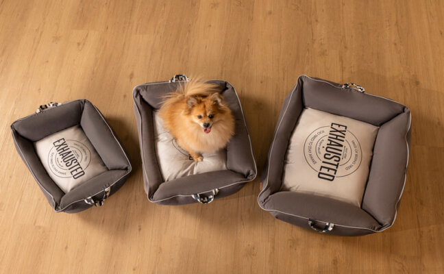 pet com três cama para cachorro no tipo almofadão