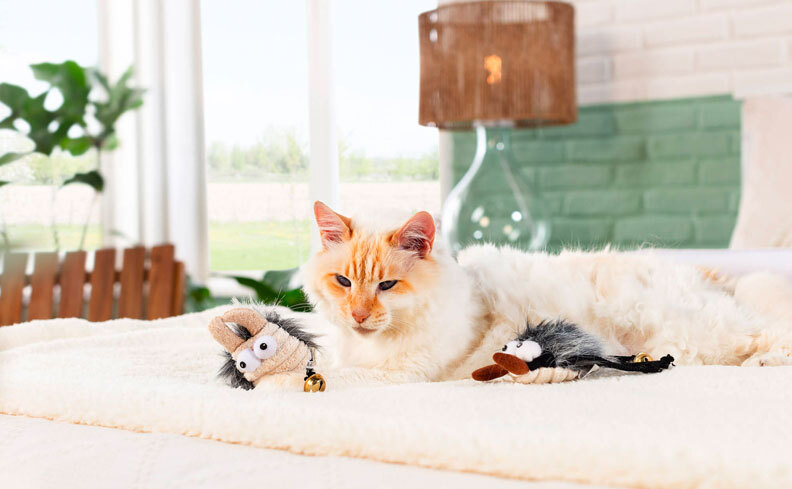 cama para gatos em um cantinho pet completo com tudo que o animal precisa para ter conforto e segurança