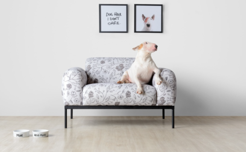 comedouro para cachorro em um ambiente com comedouro e bebedouro para pet