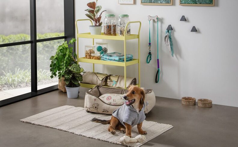 tapete para comedouro pet com caminha, bebedouro e pote de comida, carrinho organizador e outros itens de decoração para compor o cantinho pet