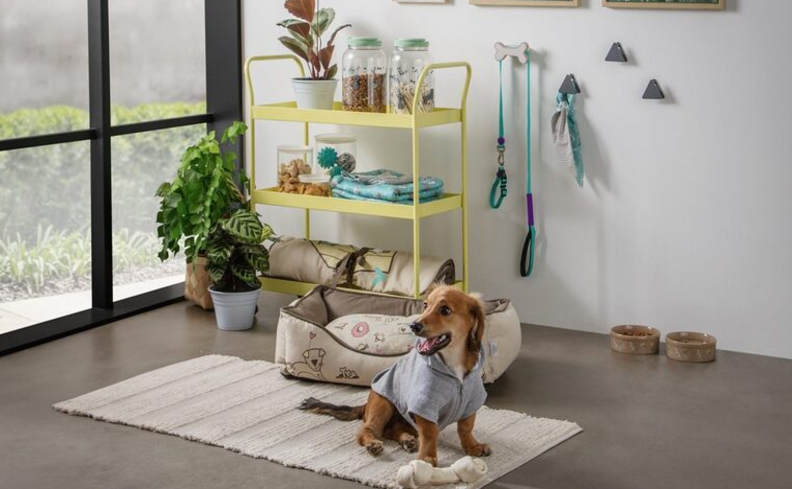 tapete para comedouro pet, além de caminha, tapete e outros itens decorativos no cômodo