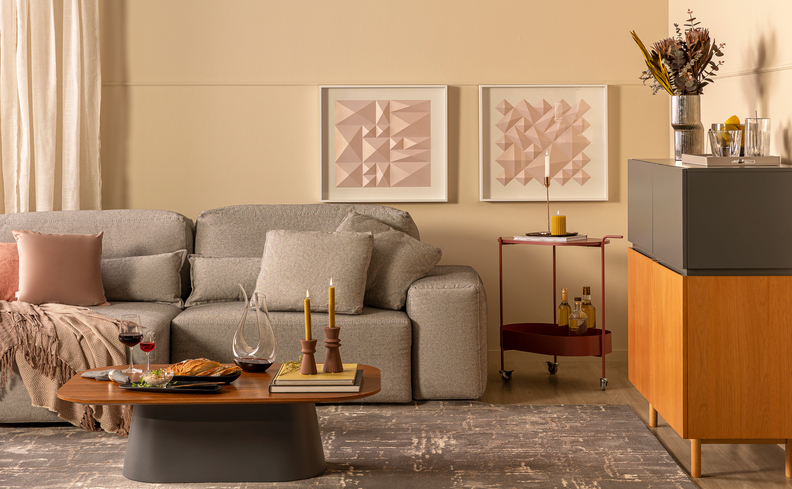 sofá para apartamento pequeno na sala de estar, com tapete, mesa de centro, almofadas, manta para sofá, armário e itens decorativos.