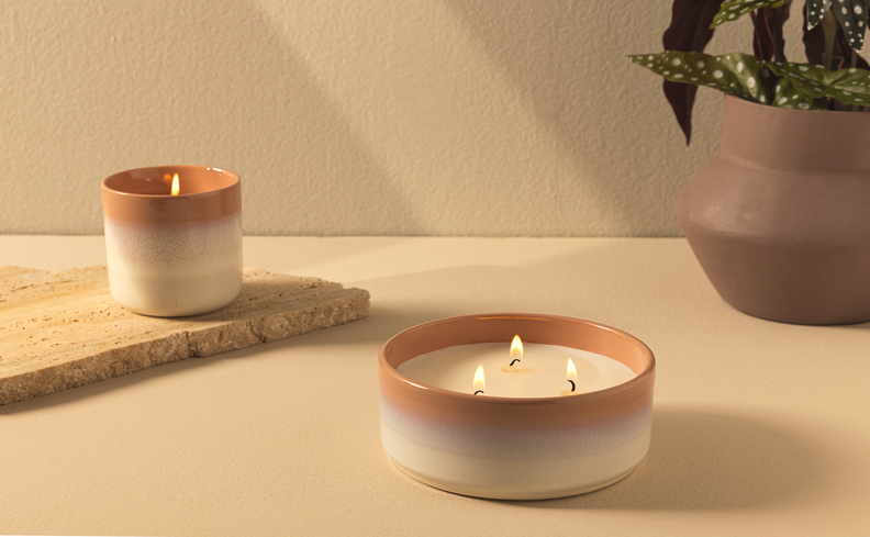 plantas não tóxicas para ambientes internos para quem tem pets, com duas velas aromáticas e um vaso com planta para a decoração da casa.