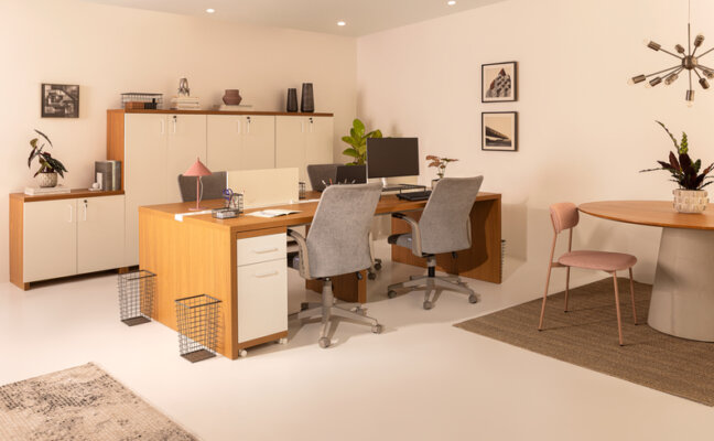 móveis para escritório corporativo com mesa de trabalho, cadeiras de escritório, armários, itens para organizar documentos e diversos itens decorativos.