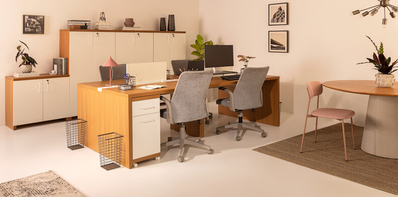 móveis para escritório corporativo com mesa de trabalho, cadeiras de escritório, armários, itens para organizar documentos e diversos itens decorativos.
